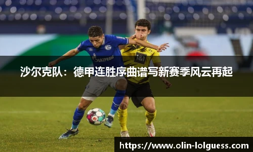 沙尔克队:德甲连胜序曲谱写新赛季风云再起